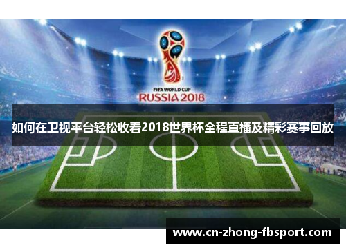 如何在卫视平台轻松收看2018世界杯全程直播及精彩赛事回放