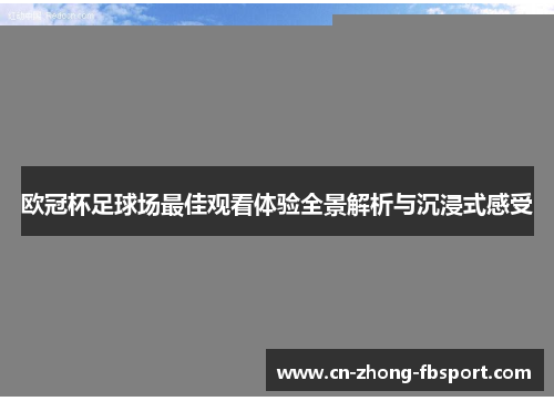 欧冠杯足球场最佳观看体验全景解析与沉浸式感受