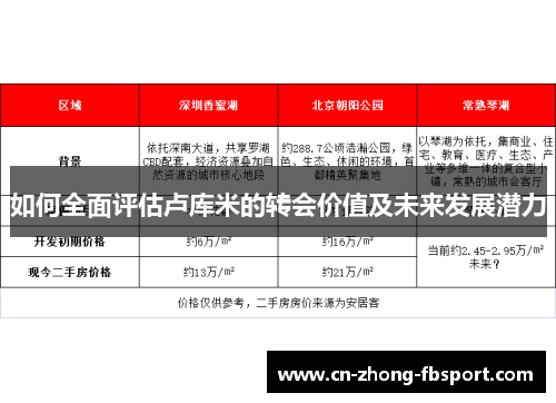 如何全面评估卢库米的转会价值及未来发展潜力