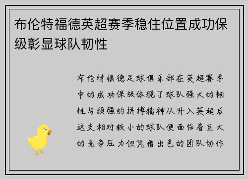 布伦特福德英超赛季稳住位置成功保级彰显球队韧性
